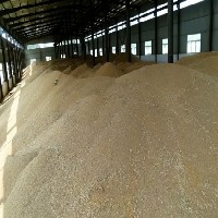 河南小麦批发价格哪家划算  小麦收购厂家  优质小麦供应商图1