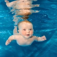 婴幼儿游泳师培训图1