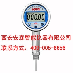 存储式数字温度表（专利产品）