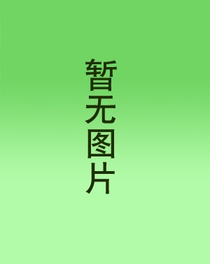 三相電子式預(yù)付費(fèi)電能表