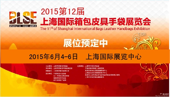 2015上海箱包展图1