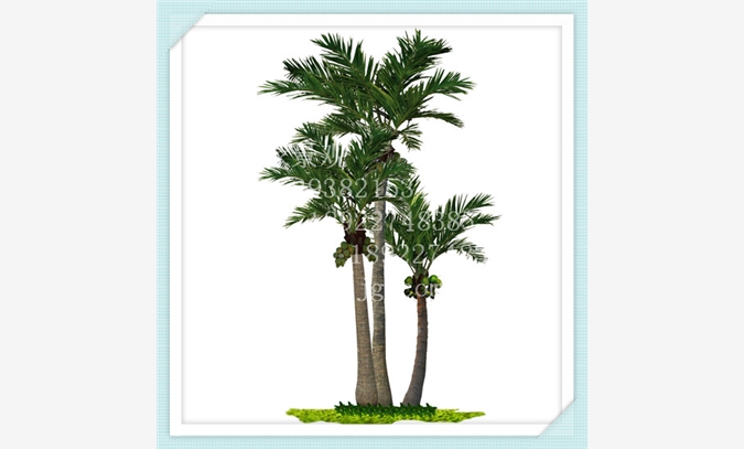 高档仿真椰子树、海南椰子树、仿真