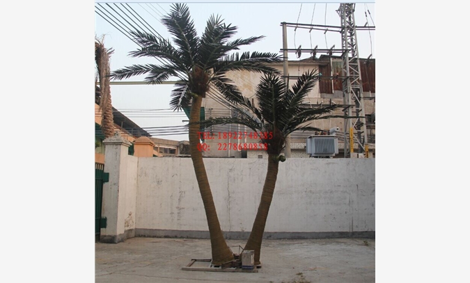 人造假树椰子树 假椰子树 圣缘图1