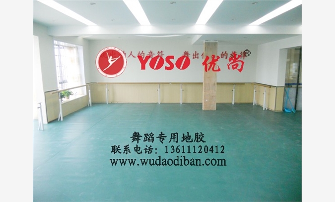 舞蹈专用地板北京销售点，北京塑胶图1
