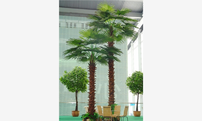 广州圣缘景观仿真植物仿真棕榈树品图1
