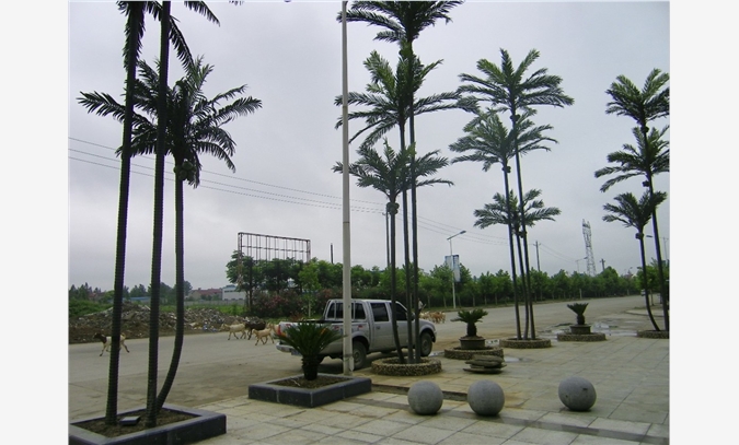 广州圣缘景观仿真植物仿真椰子树