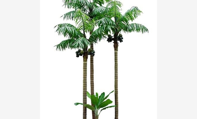 仿真椰子树人造椰子树假椰子树定制