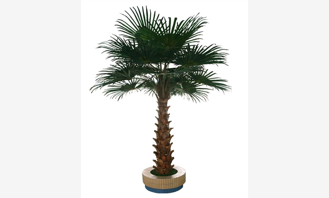 广州仿真棕榈树人造棕榈树定制价格
