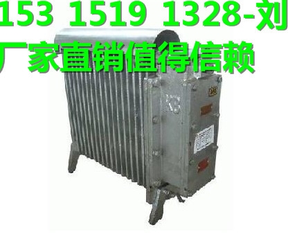 矿用隔爆型127V电暖器