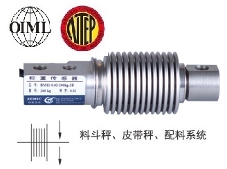 BM11-C3-100kg-3B图1