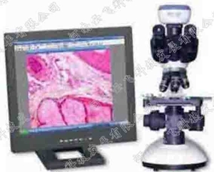 光学显微镜及成像设备图1