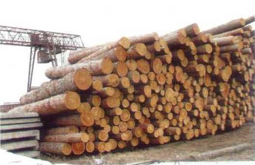 木材进口报关