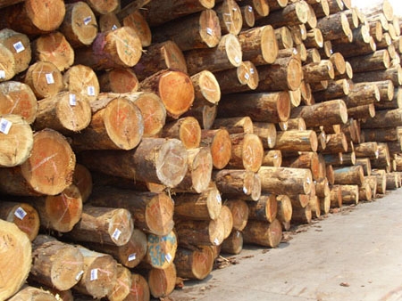 进口木材报关需要提供什么资料