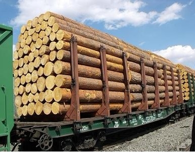 木材进口报关行图1