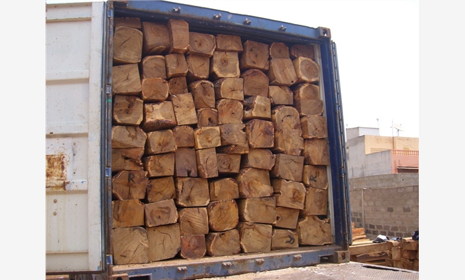 南美原木木材进口木材进口关税代理