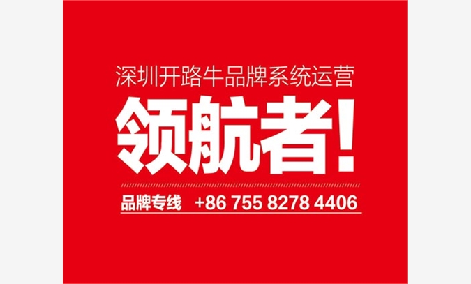 深圳家具品牌形象包装战略牛人王红图1