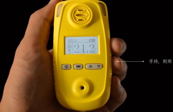 便携式二氧化硫检测仪