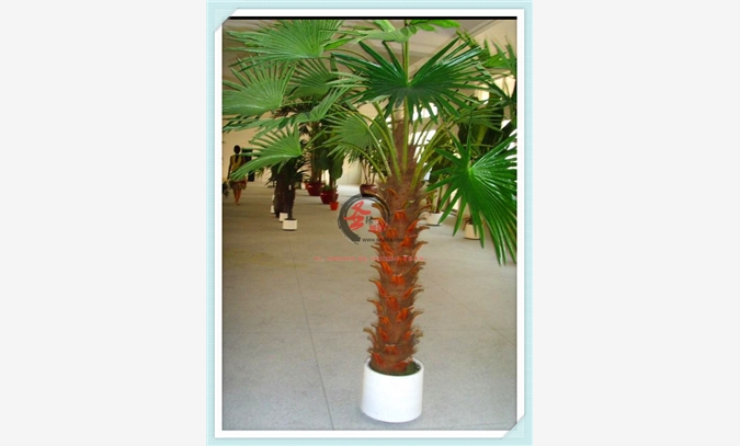 仿真棕榈树，人造棕榈树，假棕榈树图1
