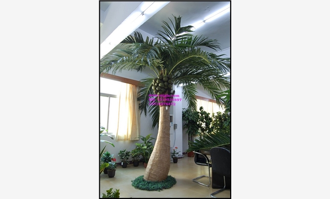 人造椰子树假椰子树仿真椰子树安装图1
