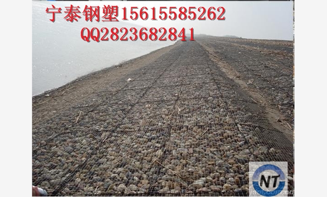 北京钢塑土工格栅GSZ