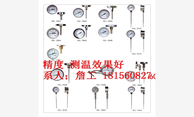 WSS-301双金属温度计图1