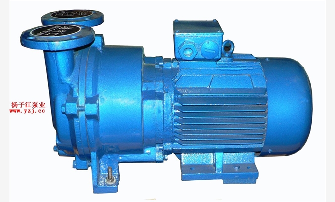 真空泵:SKA系列水环式真空泵图1