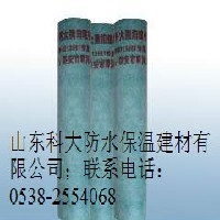 聚乙烯丙纶复合防水卷材图1