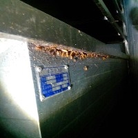 【德州酒店灭老鼠】德州超市灭老鼠蟑螂 医院灭蟑螂专业公司