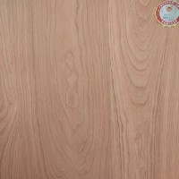 中国生态板材十大品牌之首美狮王生态板加盟康贝斯特木业