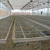 青州移动苗床，育苗温室建造—青州神农温室工程