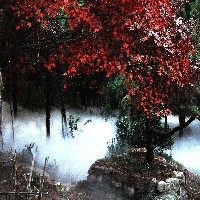 春节旅游度假去哪里，来淄博梦幻聊斋城图1