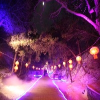 淄博大型元宵灯会去哪里，来淄博梦幻聊斋城