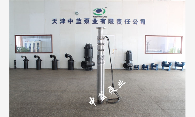 天津不锈钢潜水泵