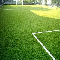 蚌埠足球场专业草坪种植|蚌埠足球场专业草坪【绿化靠大家】