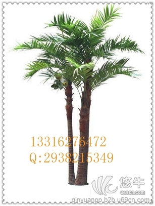 仿真椰子树图1