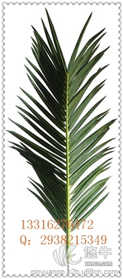 仿真椰子叶图1