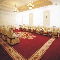 会议室地毯图1