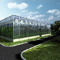 玻璃板温室建造报价-玻璃连栋温室建设-山东纹络式连栋温室骨架