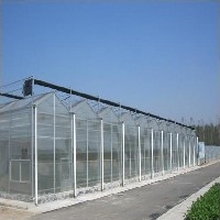 玻璃板温室建设