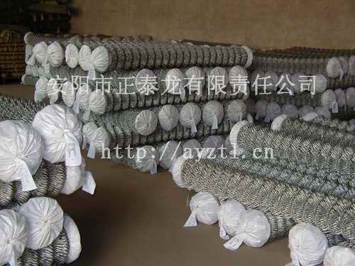 天津塑料钢丝网图1