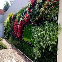 安徽别墅植物墙|安徽别墅植物墙绿化公司|安徽别墅植物墙哪家好