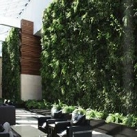 杭州会所植物墙|杭州会所植物墙绿化公司哪家好【誉盛】