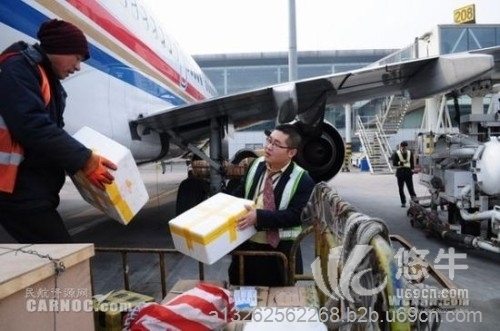 货物在浦东机场被海关扣了怎么办
