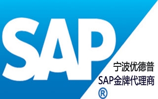 宁波SAP公司