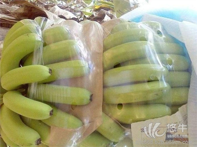 广东香蕉产地全国低价销售