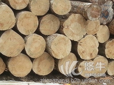 木方 厂家批发木方 进口木方图1