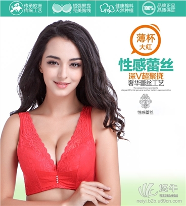 中大胸薄款蕾丝性感胸罩 收副乳图1