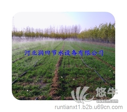 河北晋州鸭梨灌溉节水微喷带图1