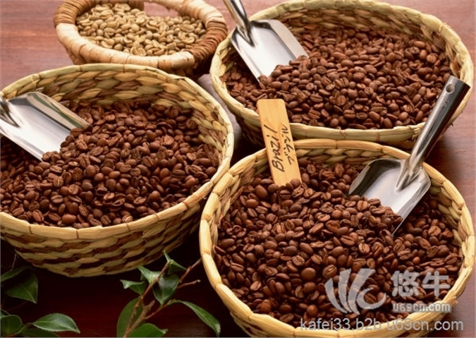 巴西咖啡豆进口报关公司