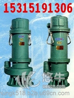 3KW矿用隔爆型潜水电泵